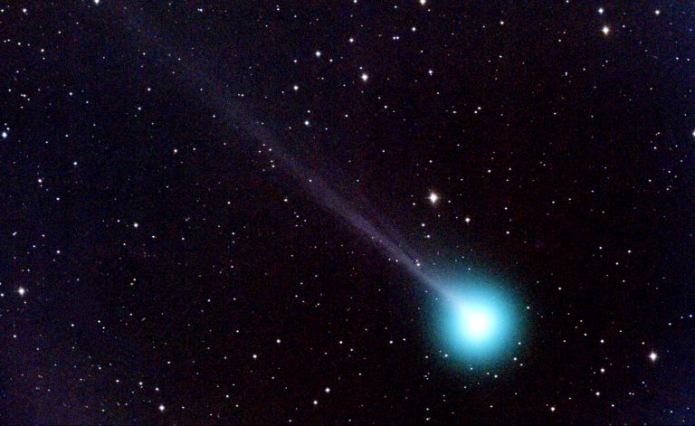 cometa swan e1589822717645 768x471