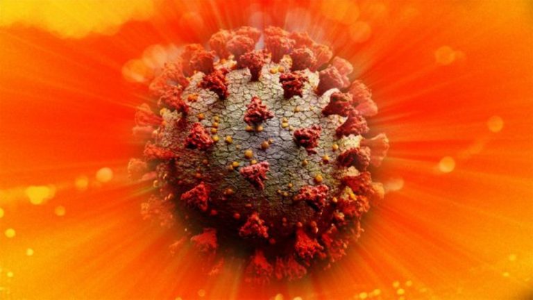 coronavirus-caldo
