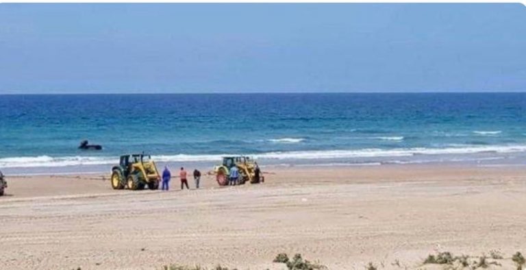 coronavirus-candeggina-spiaggia
