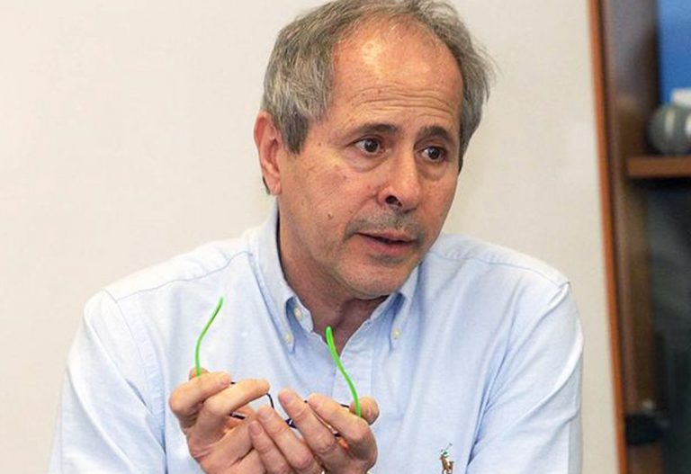 coronavirus-crisanti