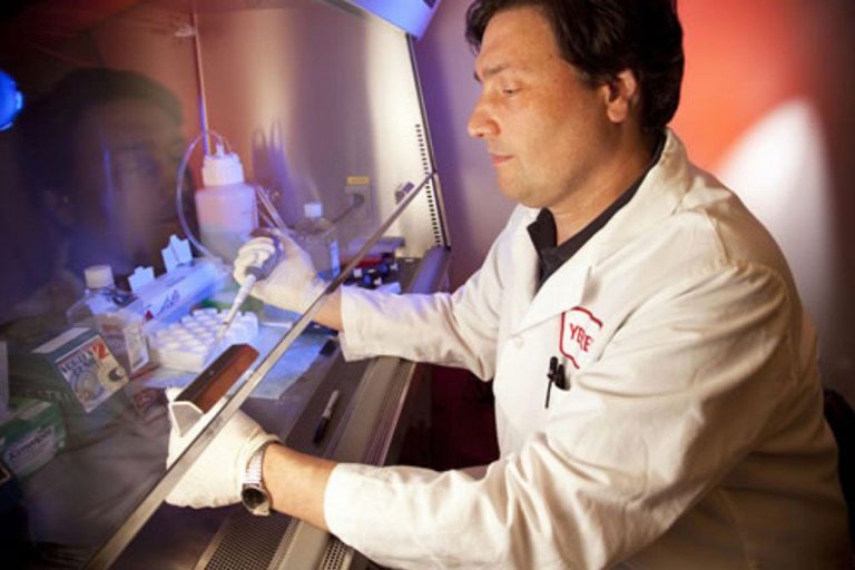 Coronavirus Silvestri no ritorno di fiamma