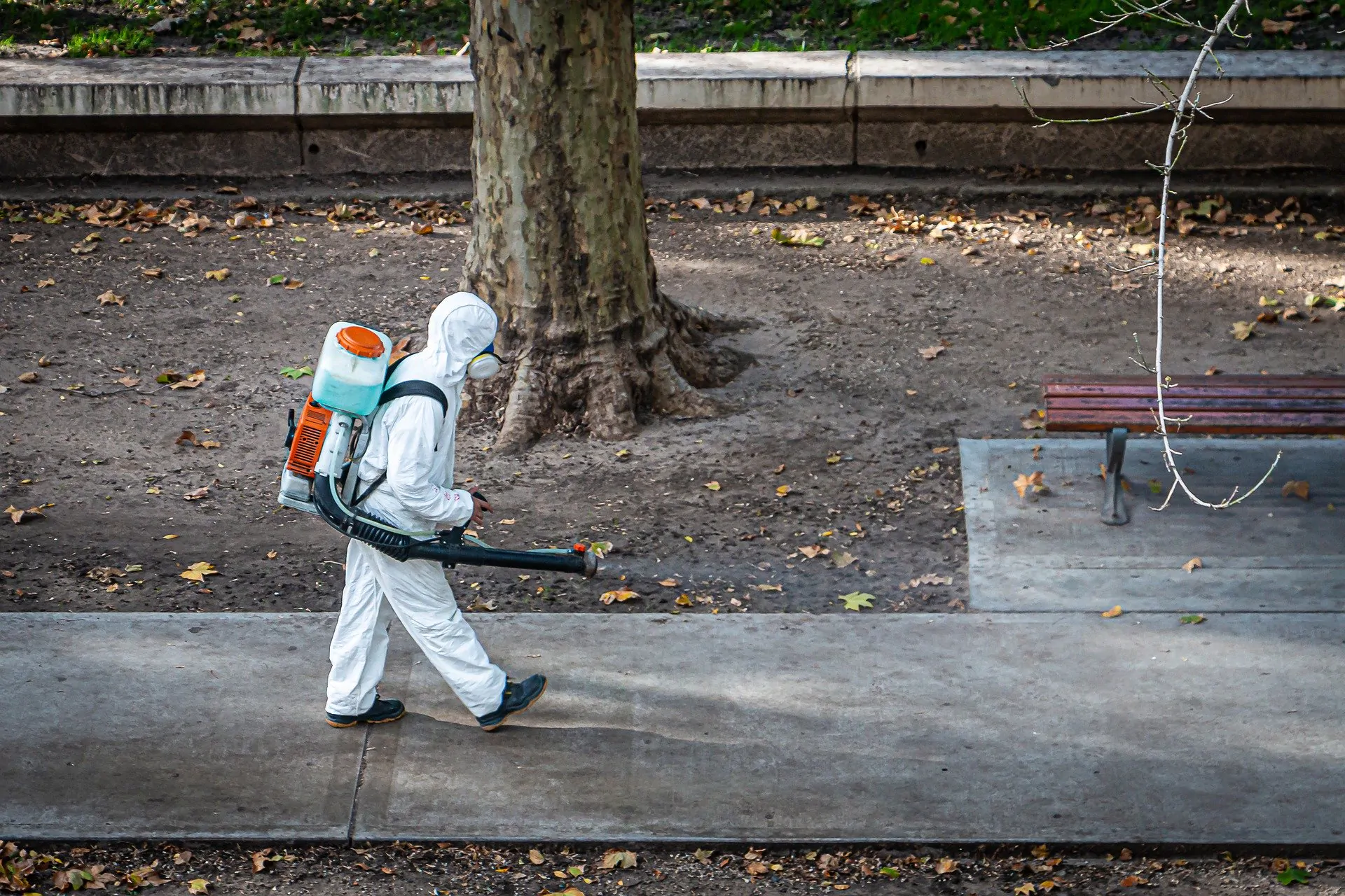 Prof. Tersenghi sul lockdown: "Utile, senza sarebbe stato un disastro"