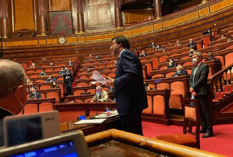 salvini intervento senato