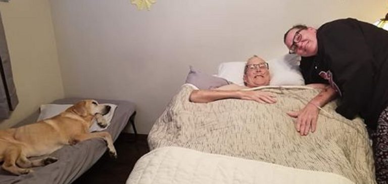 uomo e cane morti a un'ora di distanza