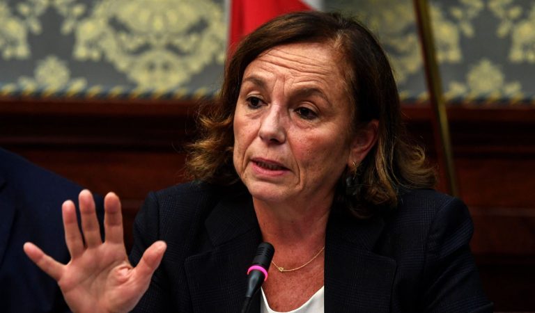viminale assistenti civici volontari