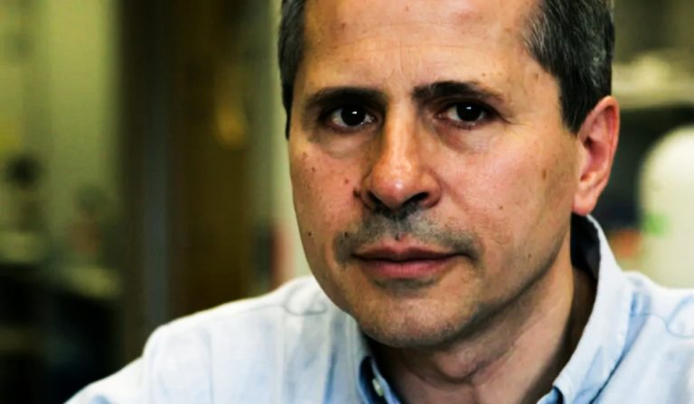 Crisanti: "I bambini non prendono il Covid"