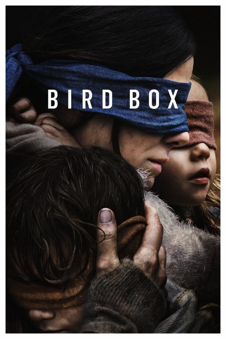birdbox recensione 768x1152