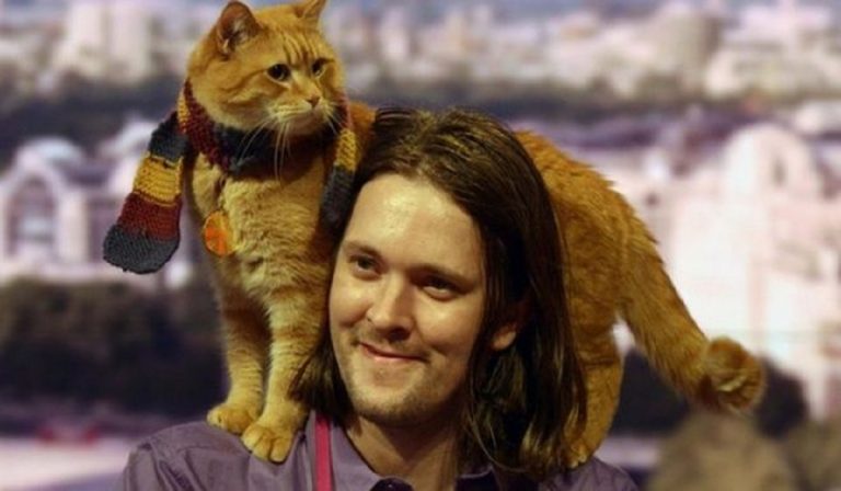 Morto Bob, gatto famoso protagonista dell'omonimo film