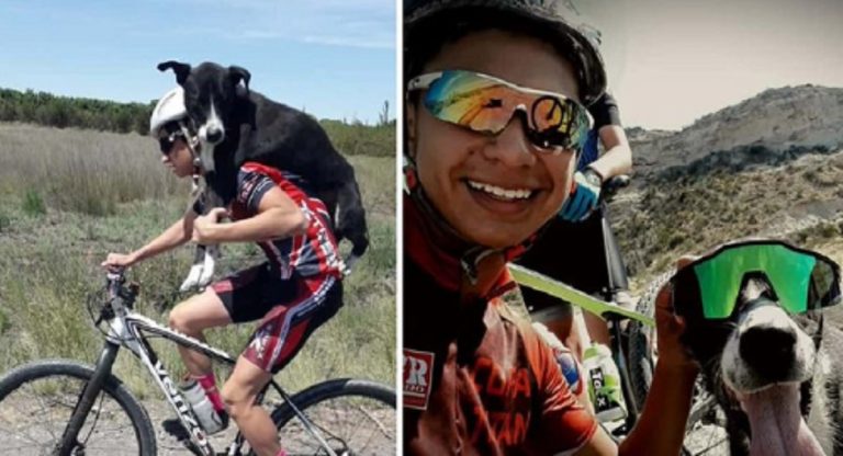 ciclista salva cane abbandonato