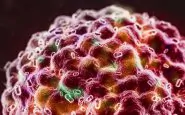 Cancro e coronavirus