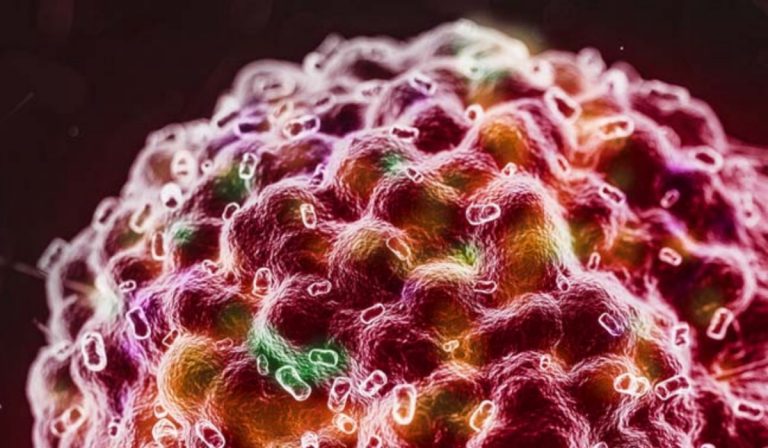 Cancro e coronavirus
