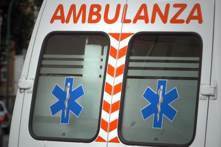 donna muore punta da insetto