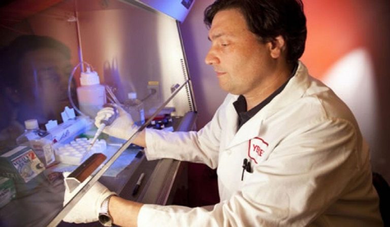 Silvestri: "Numeri del Coronavirus positivi"