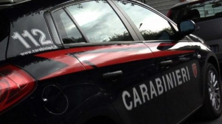 lancia cane dal balcone