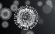 Uno spray a base di nanoparticelle come cura contro il coronavirus