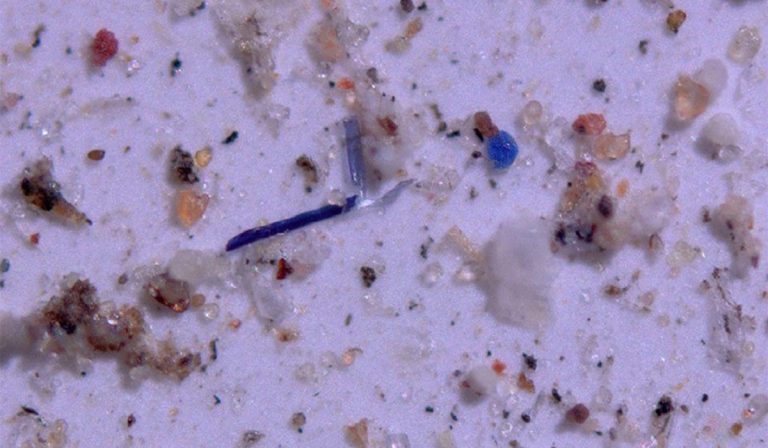 Pioggia di plastica fino all'Artico