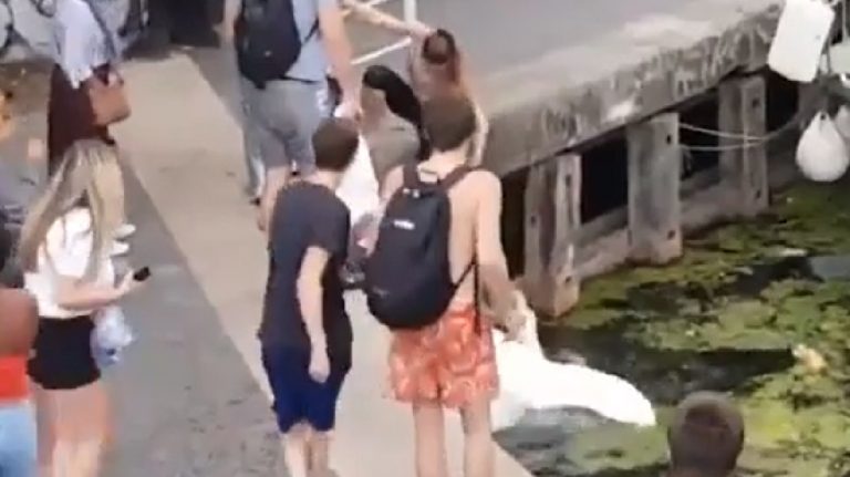 Ragazza calci cigno
