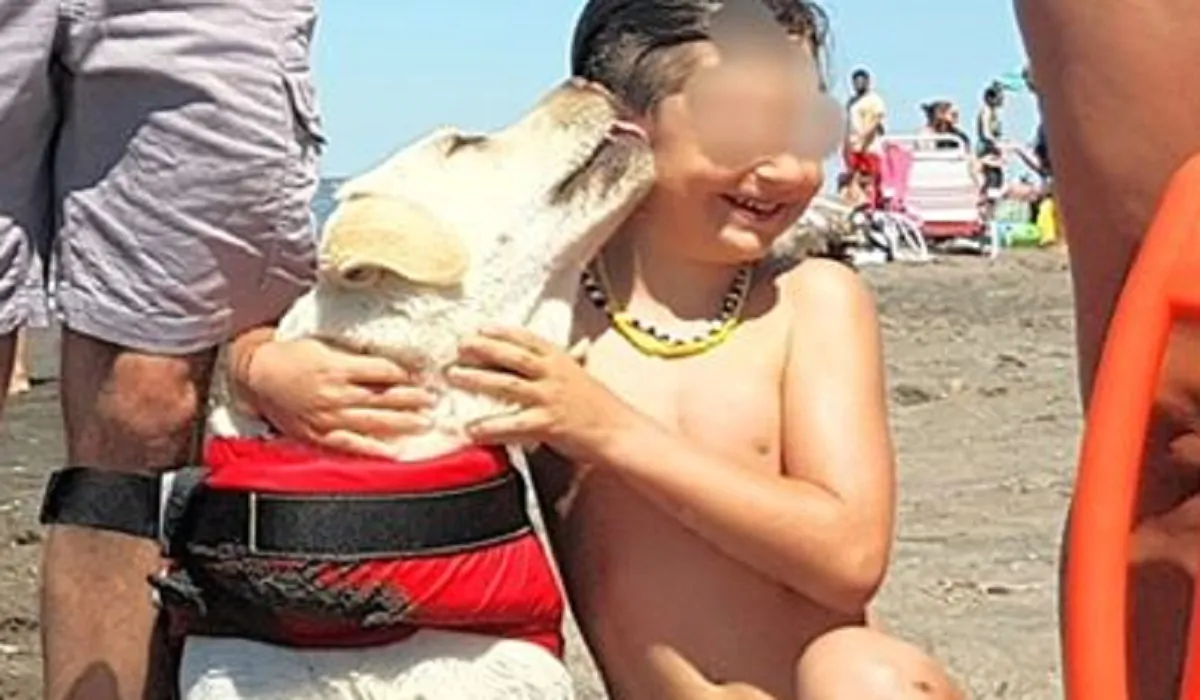 Bimbo salvato da un Labrador nel Lazio, in spiaggia