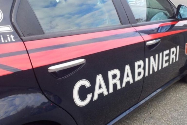 cane dalla finestra carabinieri catania