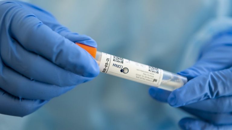 coronavirus-contagi-usa-brasile