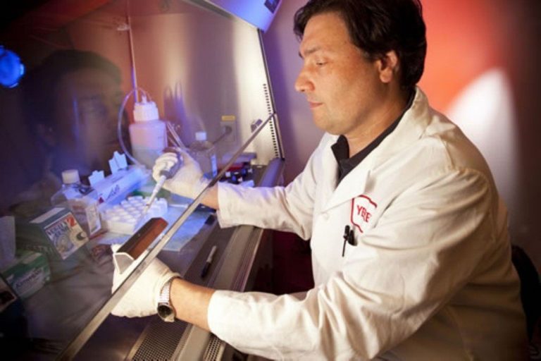 coronavirus seconda ondata silvestri