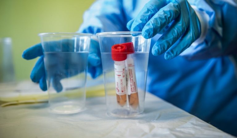 Coronavirus, lo studio conferma: è mutato