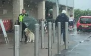 guardia giurata ripara cane con ombrello
