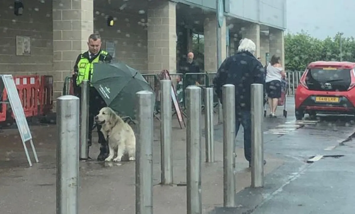 guardia giurata ripara cane con ombrello