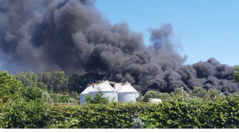 Incendio Gioia Tauro Iam