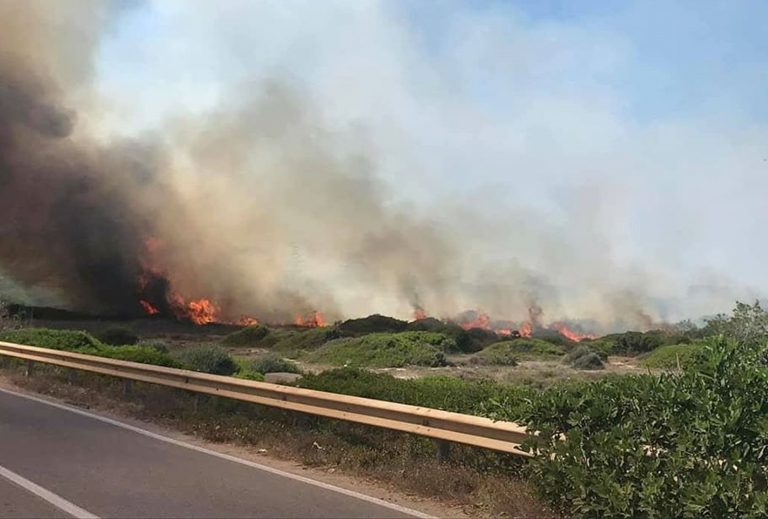 incendio taranto e1595441161739 768x519