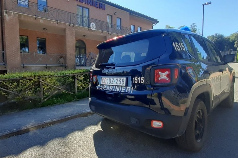lecce abusa figliastro disabile