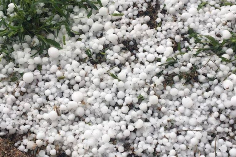 Maltempo, in Emilia-Romagna la grandine devasta campi e auto