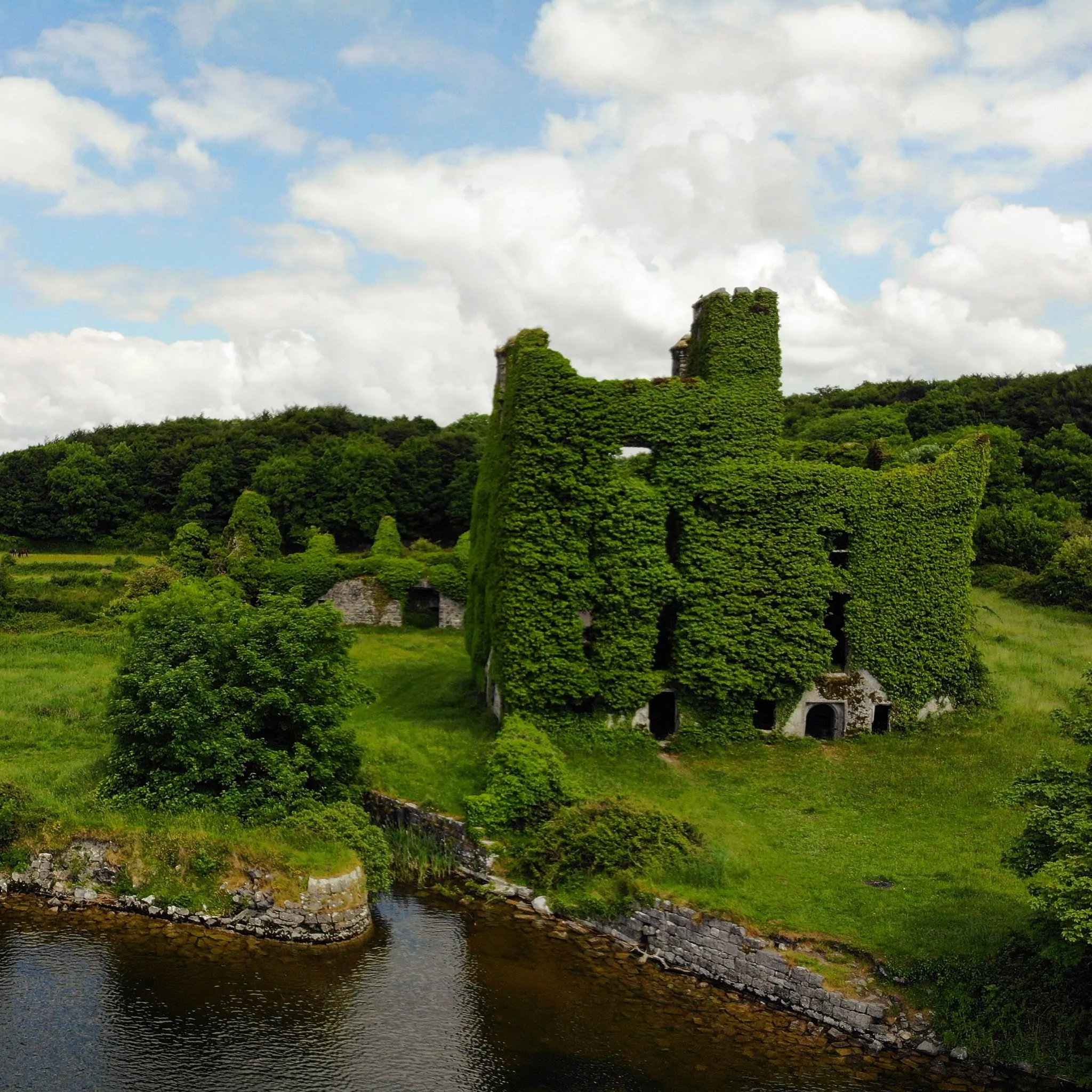 Castello di Menlo, Irlanda