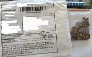 pacchi di semi dalla Cina