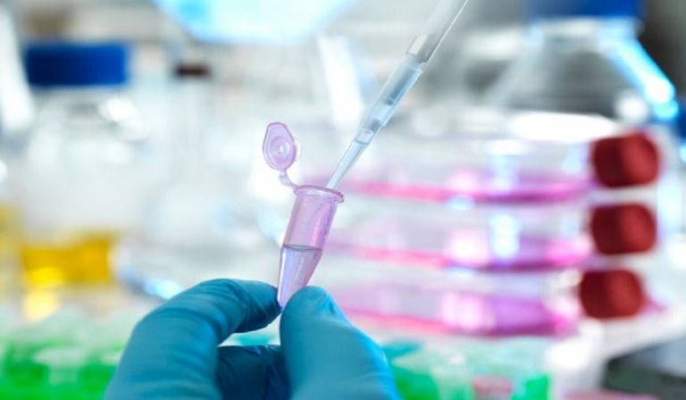 Scoperto gene che blocca alcuni tipi di cancro