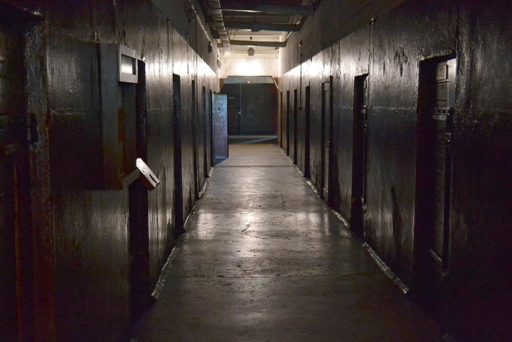 Skrunda 1, interno case