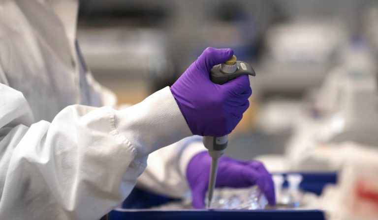 Vaccino Coronavirus, Moderna: "Funziona sulle scimmie"