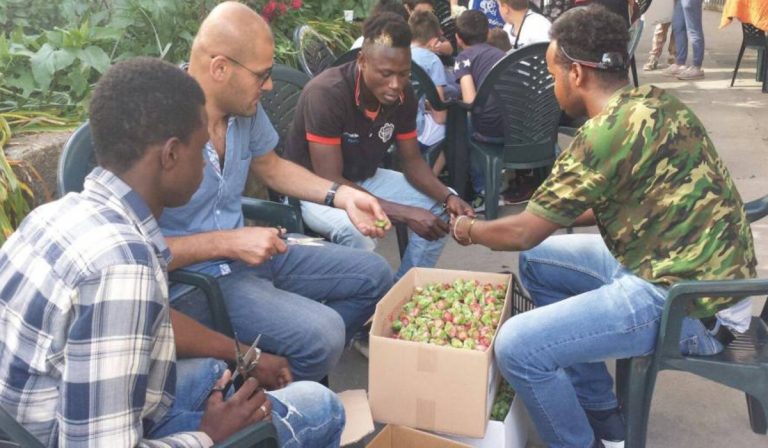 Modifica al sistema dell'accoglienza degli immigrati in Italia