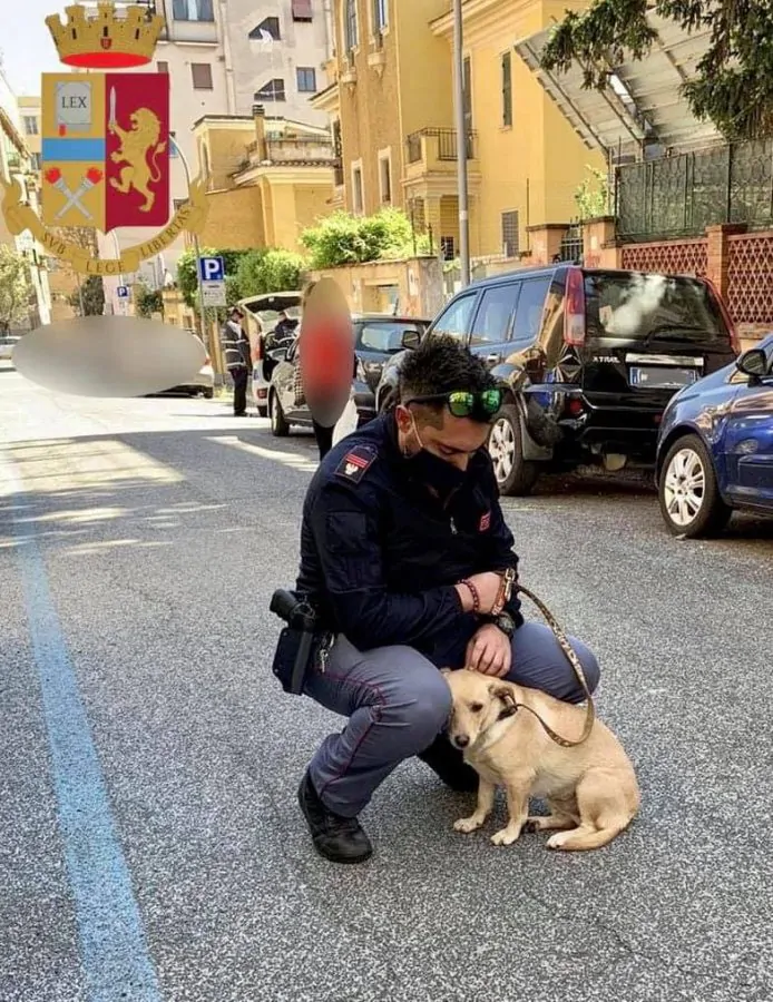 Cagnolina Roma