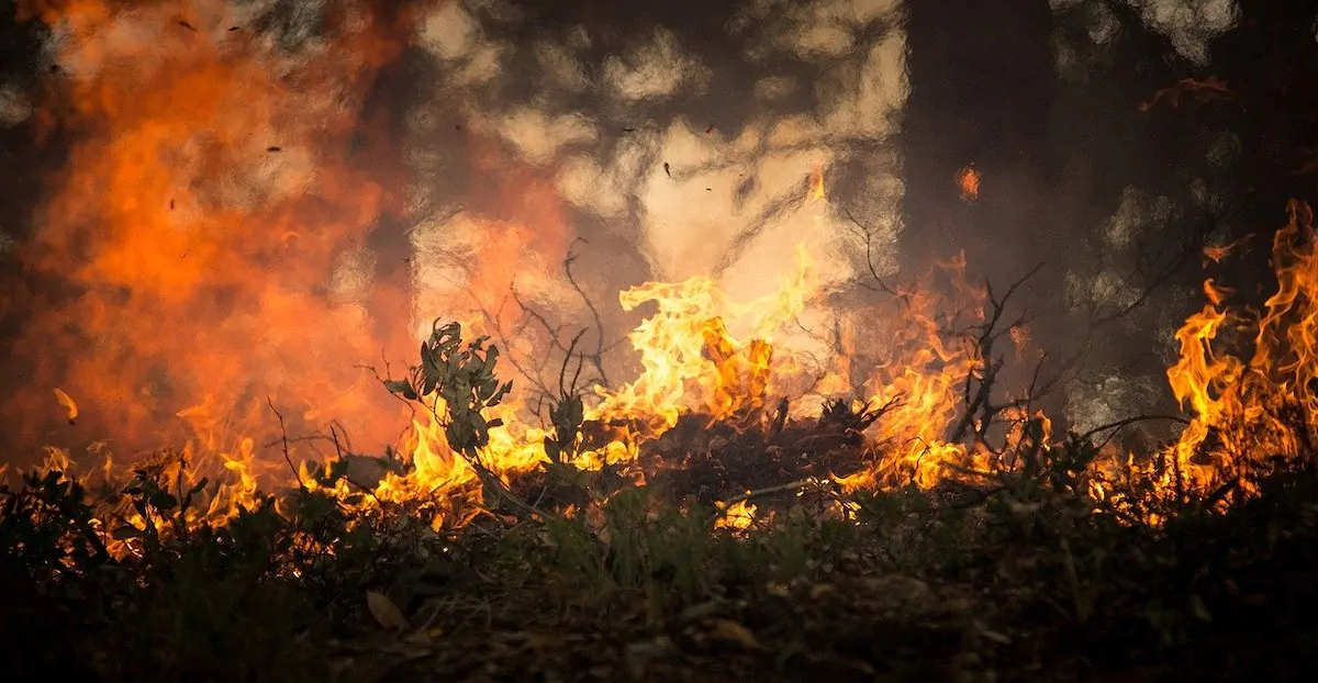 L'Aquila è in fiamme