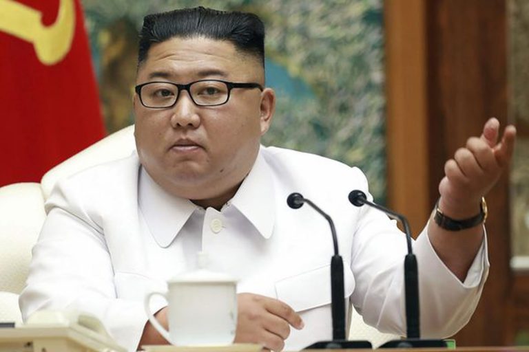 kim jong un confisca cani