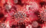 scoperta molecola anti coronavirus