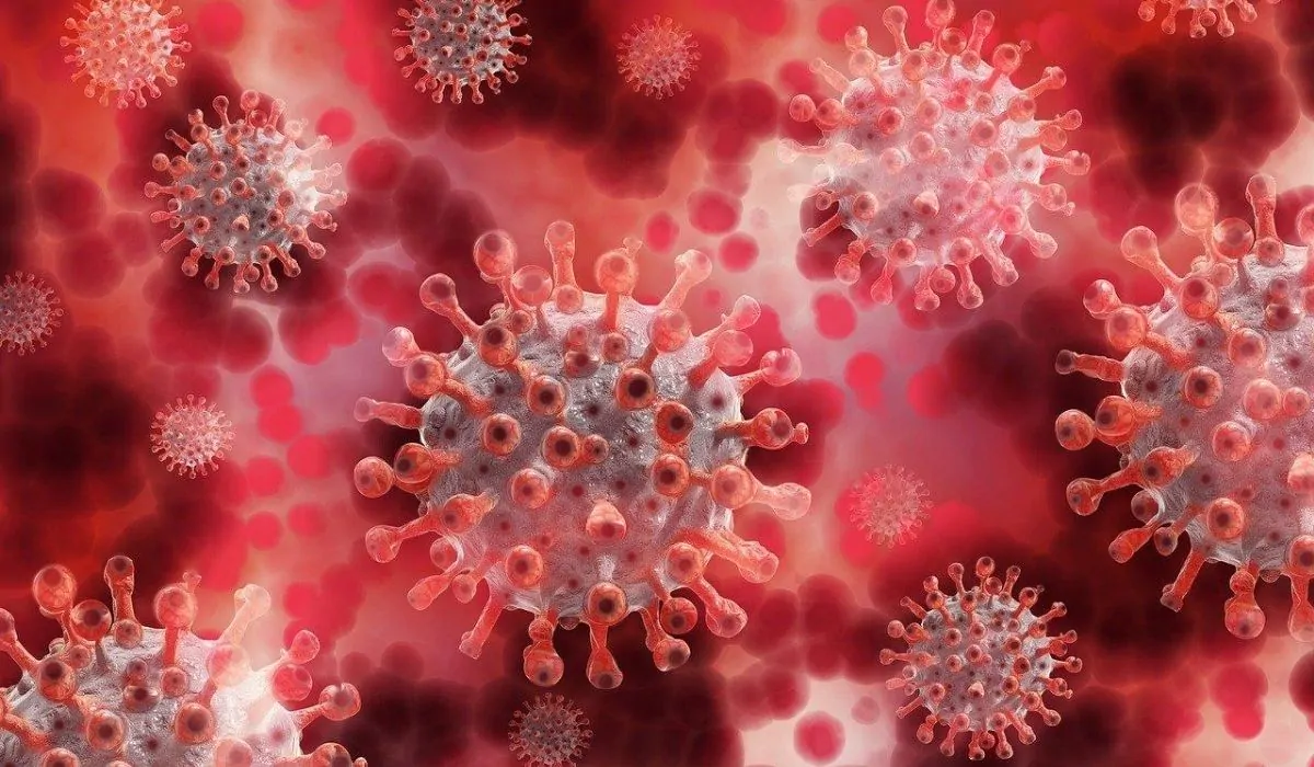 scoperta molecola anti coronavirus