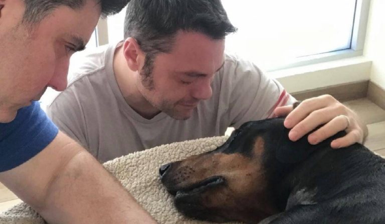 tiziano ferro cane beau