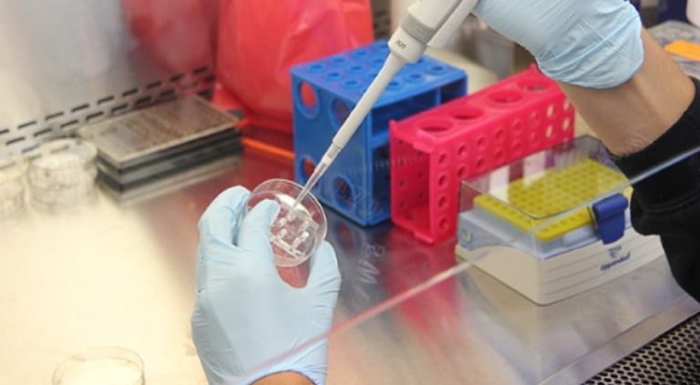 AstraZeneca riprende test vaccino
