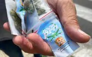 cannabis tel aviv