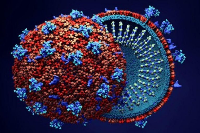 coronavirus mascherine