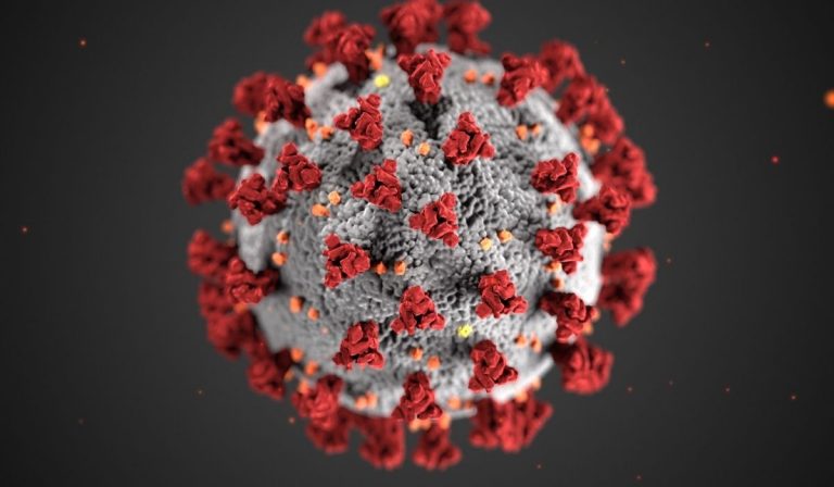 Coronavirus sintomi scrittura parola