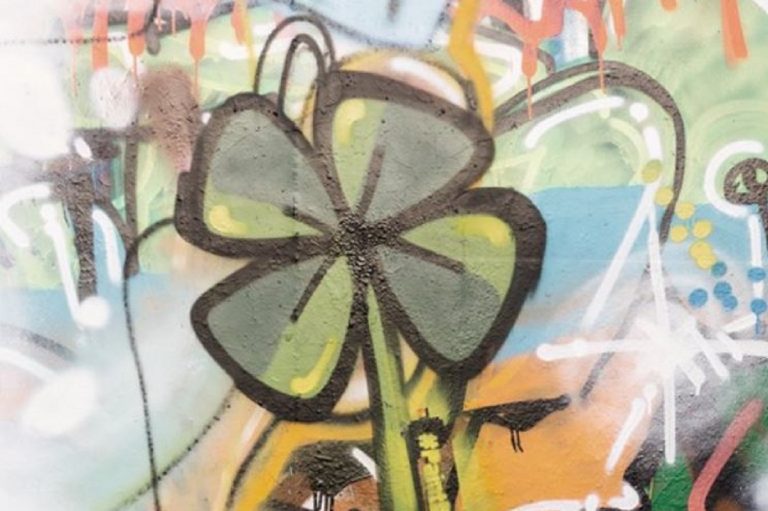 disegnare fiori sulle svastiche è reato