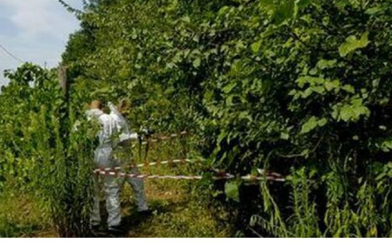 Neonato trovato morto Roccapiemonte